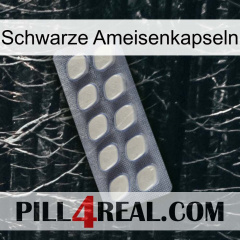 Black Ant Capsules 08
